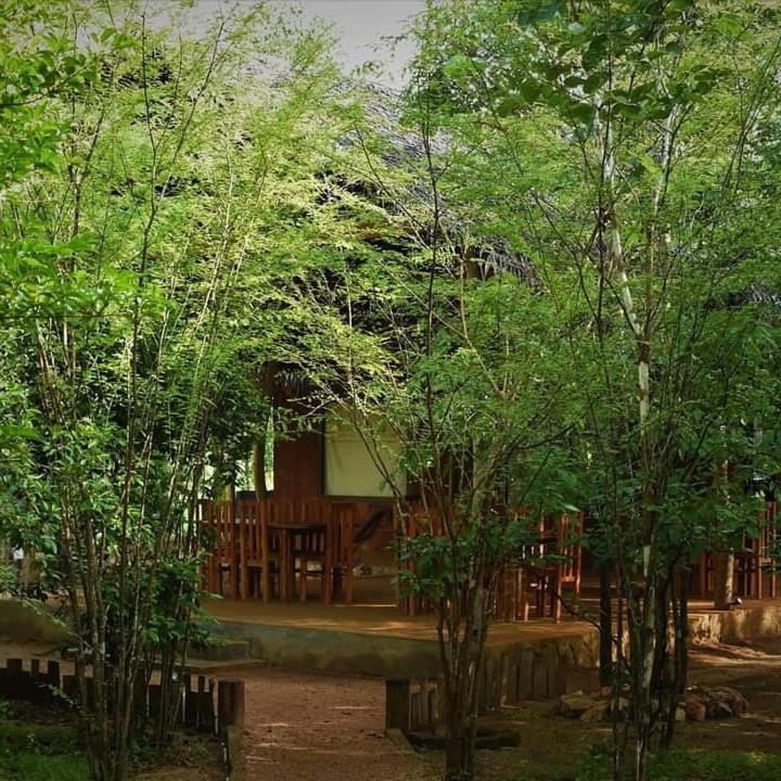 Sky Forest Habarana Exteriér fotografie