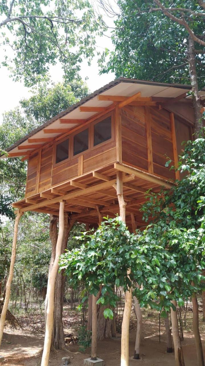 Sky Forest Habarana Exteriér fotografie